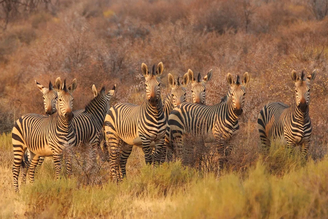 South Africa in September: Your Ultimate Spring Itinerary
